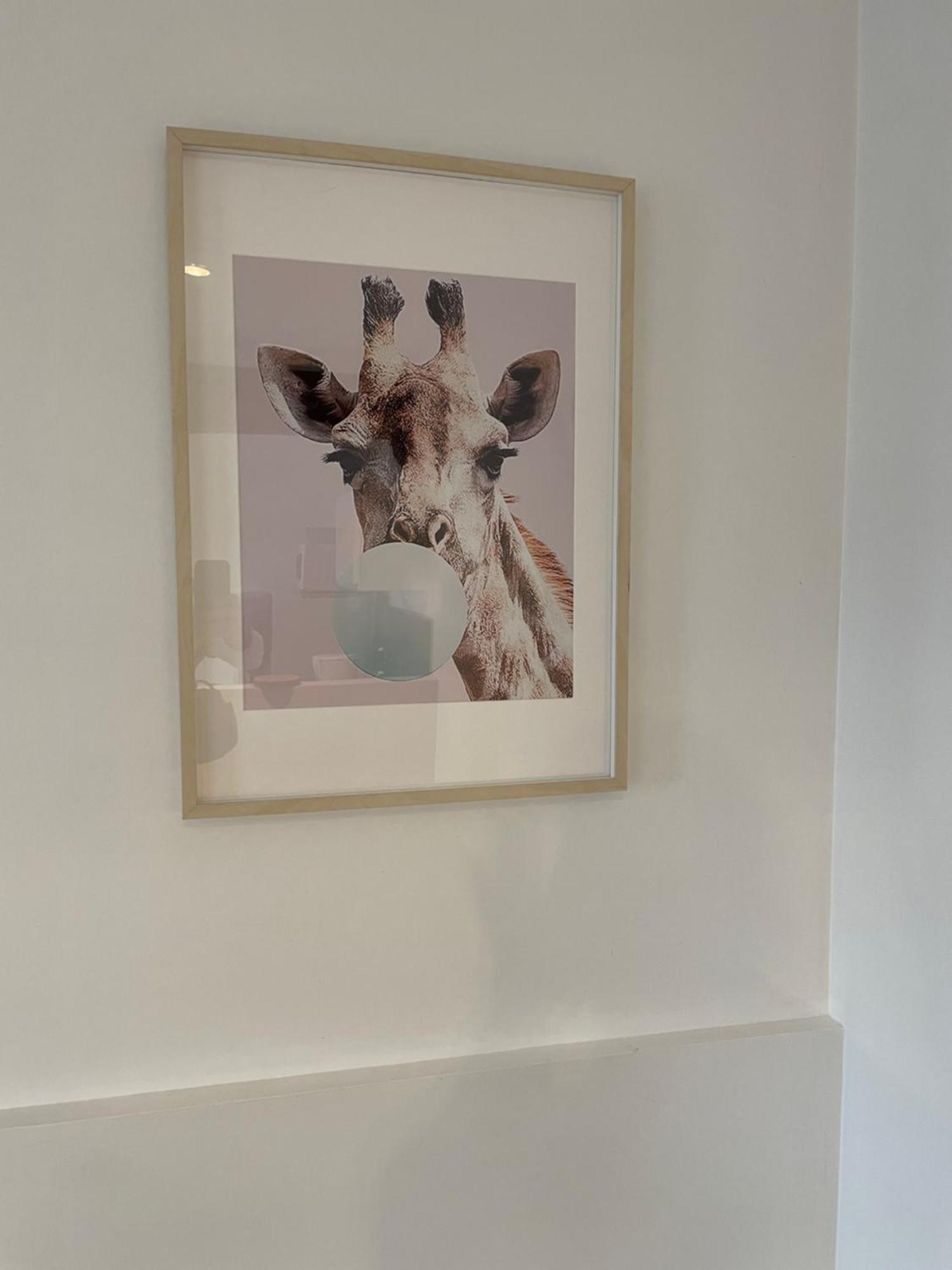 Le Cocon De Beauval Appartement Châteauvieux Buitenkant foto